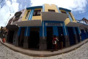 Hospital Veterinário normaliza serviços em Natal