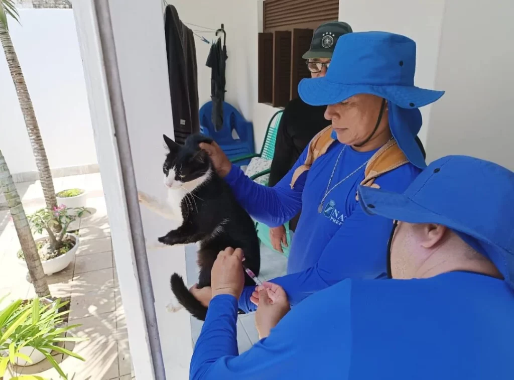 Natal intensifica vacinação de pets após morcego com raiva ser identificado na Zona Norte