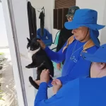 Natal intensifica vacinação de pets após morcego com raiva ser identificado na Zona Norte