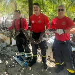 Bombeiros resgatam jiboia na Zona Norte de Natal e garantem segurança da comunidade
